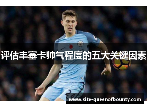 评估丰塞卡帅气程度的五大关键因素