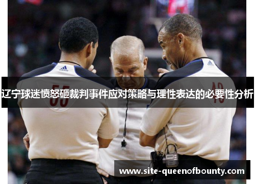 辽宁球迷愤怒砸裁判事件应对策略与理性表达的必要性分析