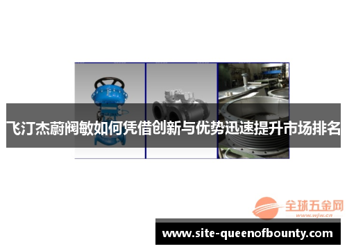 飞汀杰蔚阀敏如何凭借创新与优势迅速提升市场排名