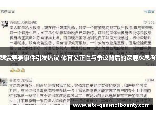 魏震禁赛事件引发热议 体育公正性与争议背后的深层次思考