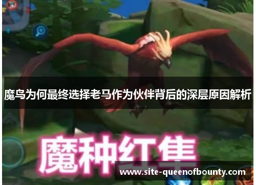 魔鸟为何最终选择老马作为伙伴背后的深层原因解析